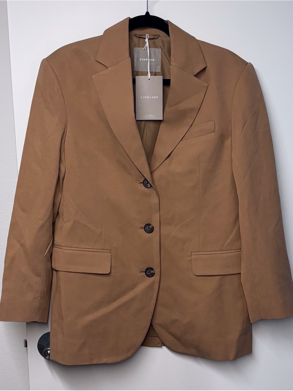Everlane Women's Blazer in Ash Brown